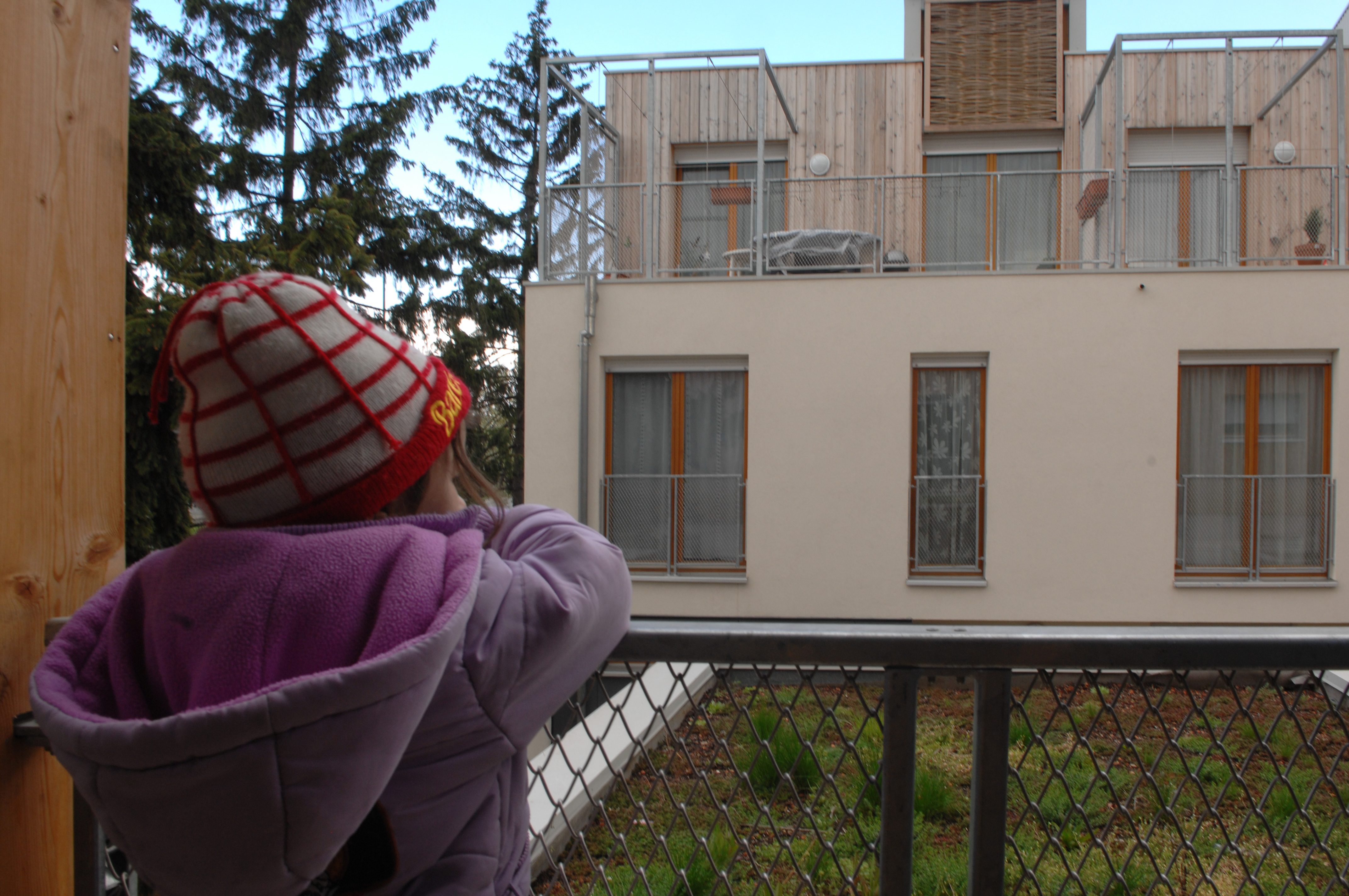 bs000687.jpg