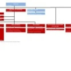 Dossier parent Organigramme Afpols 2020