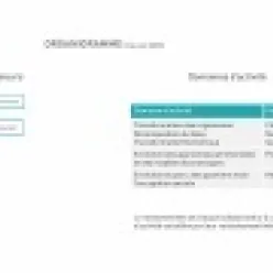 Organigramme HTC Juin 2020